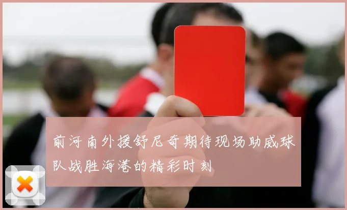 前河南外援舒尼奇期待现场助威球队战胜海港的精彩时刻
