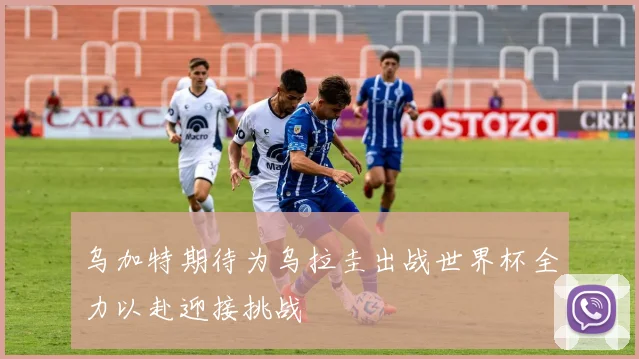 乌加特期待为乌拉圭出战世界杯全力以赴迎接挑战